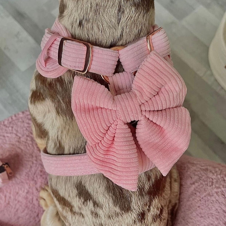 Corduroy Dog Harness